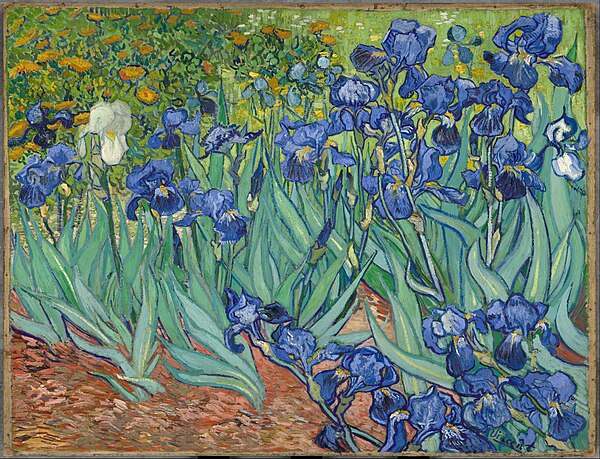 "Irises" by Vincent van Gogh