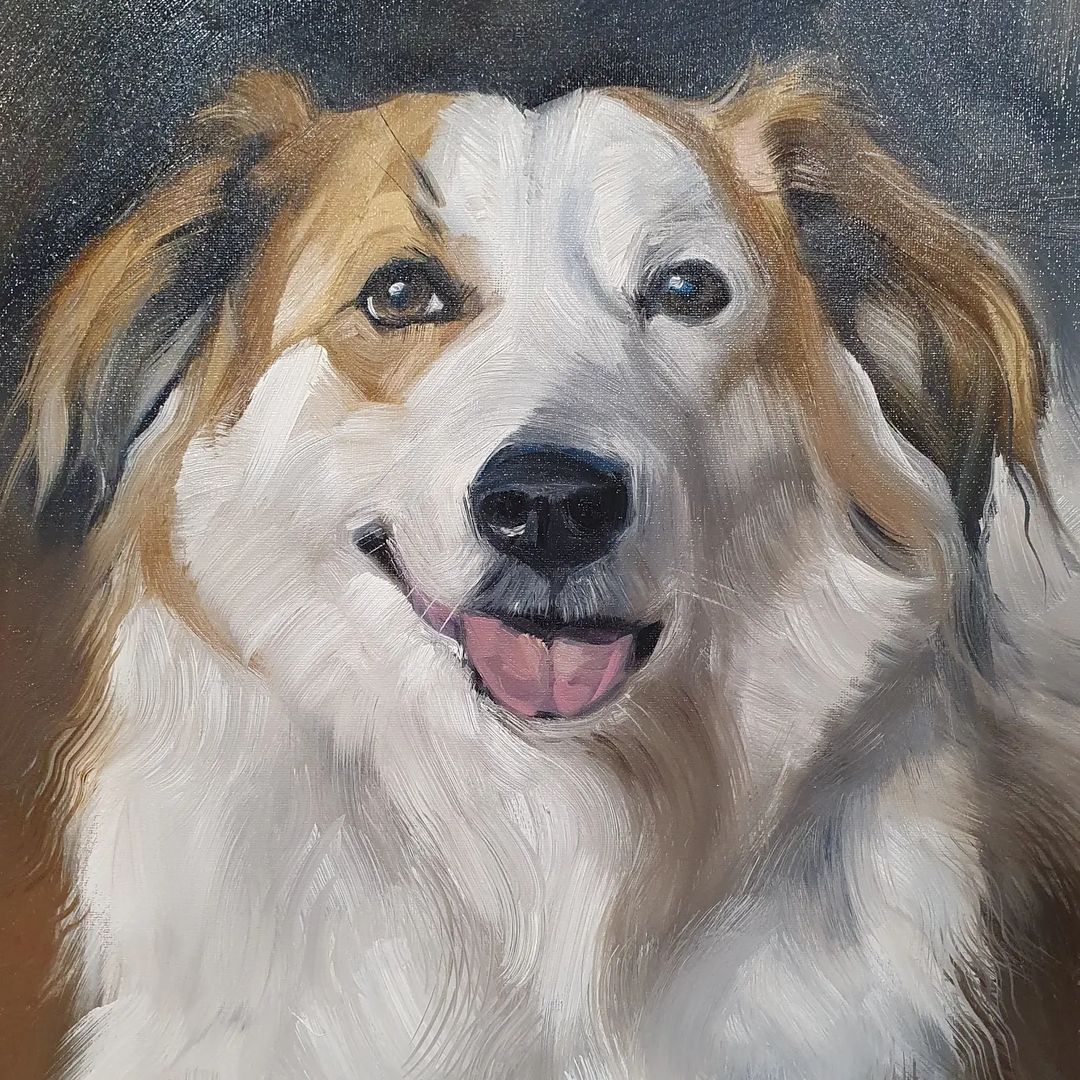 Pet Portraits