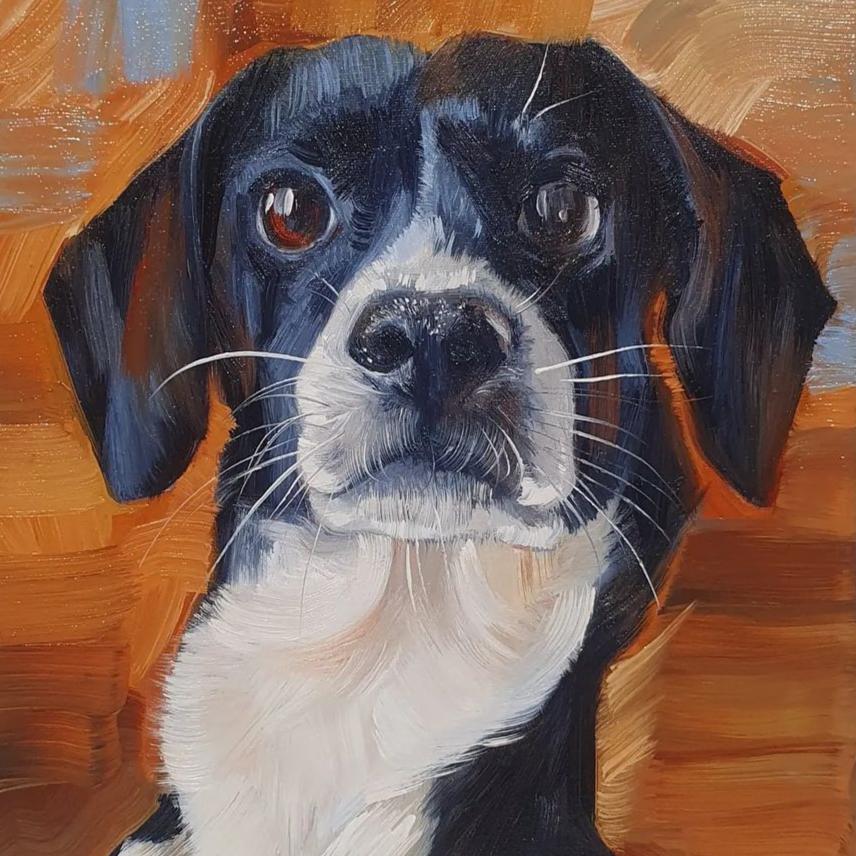 Pet Portraits