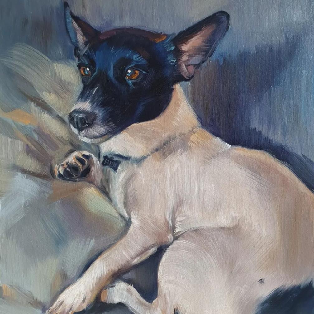 Pet Portraits